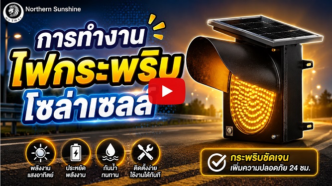 信�о�Ժ��������